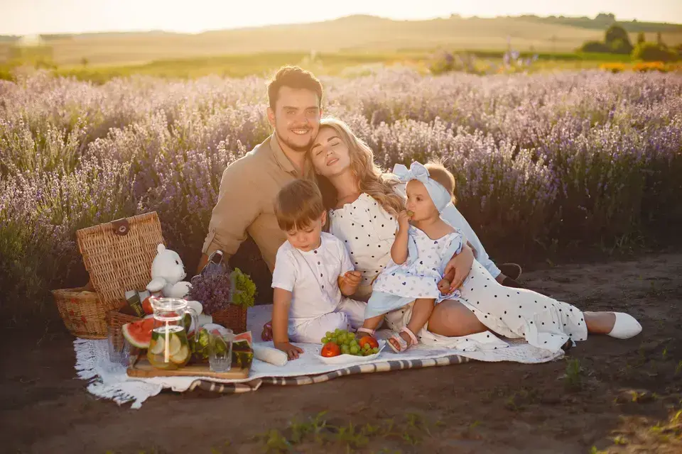 mold removal Paradise Valley