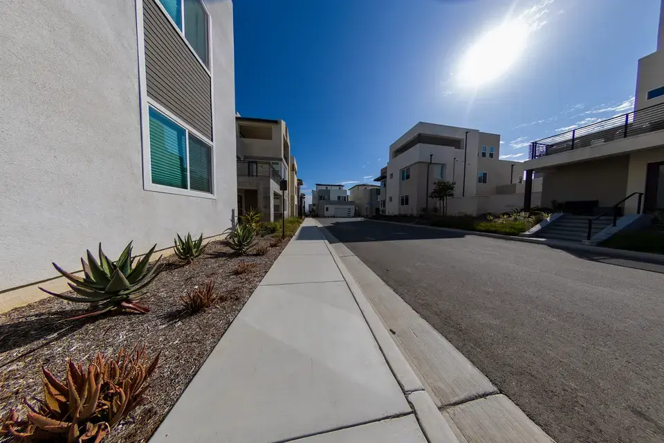 mold removal Tempe Junction